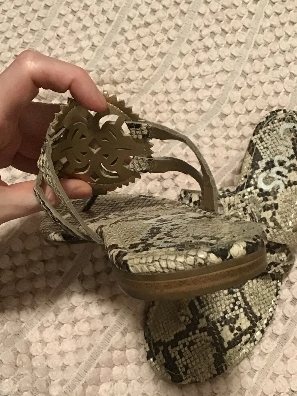 Circus by Sam Edelman Snake-Print Thong Sandals in Tan and Black